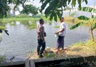 Pemanfaatan-Lahan-untuk-Ketahanan-Pangan-Polresta-Sidoarjo-di-Sidokare