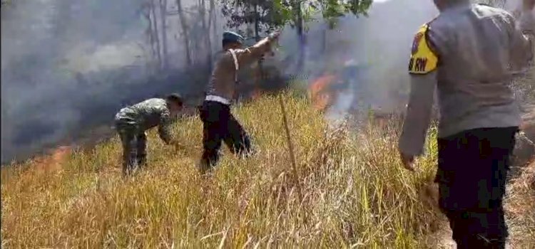 Polisi Bersama Petugas Gabungan Berhasil Padamkan Kebakaran Hutan Gunung Pucang Ranggah di Lumajang