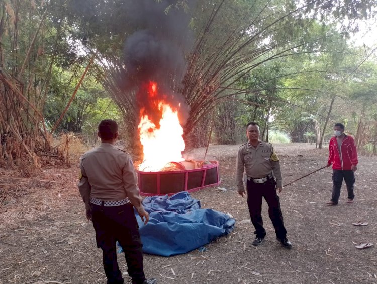 Polsek Balongbendo Gerebek Lokasi Sabung Ayam