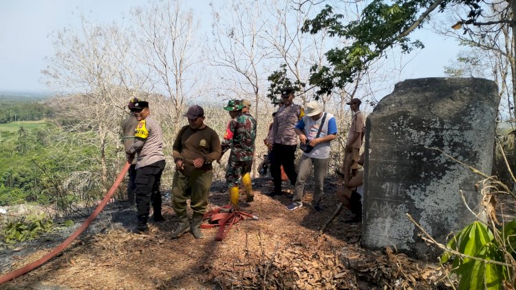 Polisi bersama Tim Gabungan dan Relawan Berhasil padamkan Kebakaran Hutan di Lumajang