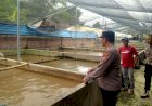 Kapolsek-Prambon-Bersama-Kades-Kedungkembar-Cek-Perkembangan-Budidaya-Lele