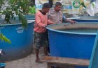 Polsek-Sedati-Motivasi-Warga-Manfaatkan-Lahan-Pekarangan-untuk-Budidaya-Lele