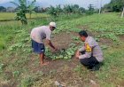 Bhabinkamtibmas-Keboguyang-Ajak-Warga-Olah-Lahan-Tidur-untuk-Ketahanan-Pangan