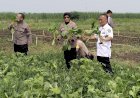 Satgas-Ketahanan-Pangan-Polresta-Sidoarjo-Cek-Lahan-P2B-Desa-Lemujut-Krembung