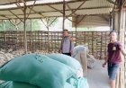 Polisi-Ingatkan-Pentingnya-Kebersihan-Kandang-dan-Pola-Pakan-dalam-Beternak-Bebek-di-Desa-Segodobancang