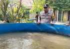 Polsek-Tanggulangin-Polresta-Sidoarjo-Dorong-Swasembada-Pangan-Lewat-Program-Pekarangan-Pangan-Bergizi-di-Desa-Ketapang