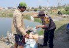 Bhabinkamtibmas-Polsek-Buduran-Sambangi-Warga-Desa-Sawohan,-Dorong-Ketahanan-Pangan-melalui-Budidaya-Ikan-Bandeng
