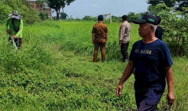 Sinergi-Bersama-dalam-Pengelolaan-Lahan-Jagung-di-Desa-Kedensari-Dukung-Ketahanan-Pangan-Nasional