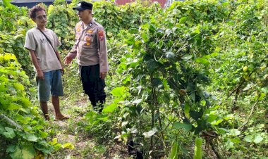 Polsek-Taman-Dampingi-Warga-Ngelom-Budidaya-Terong-untuk-Ketahanan-Pangan