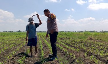 Polsek-Tarik-Gelar-Patroli-Lahan-Jagung-Dukung-Ketahanan-Pangan