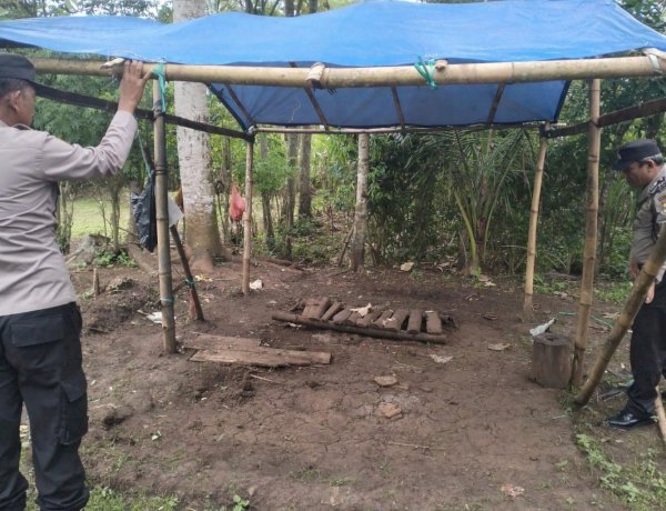 Polres Malang Kembali Bongkar Area Sabung Ayam di Kalipare