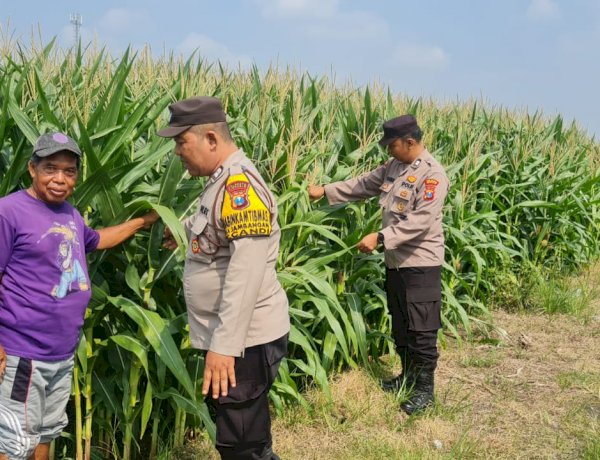 Polisi Sidoarjo Masif Dampingi Petani, Dukung Swasembada Pangan