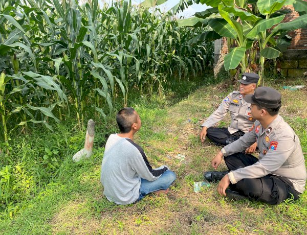 Polsek Tarik Pantau Perkembangan Tanaman Jagung Guna Swasembada Pangan