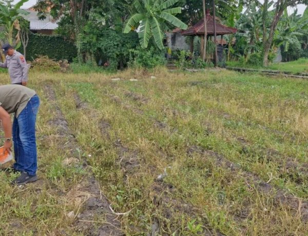 Dari Menjaga Kamtibmas ke Menjaga Lumbung Negeri: Polisi dan Petani Sukodono Bersatu Tanam Jagung, Perkuat Swasembada Pangan dari Desa