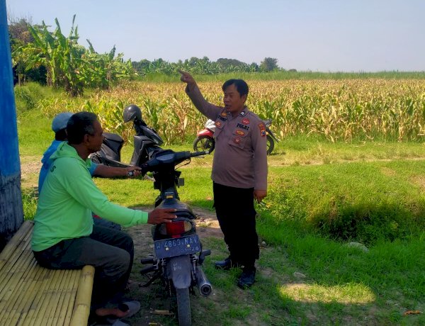 Perkuat Swasembada Pangan, Polsek Prambon Sidoarjo Tinjau Kesiapan Lahan Jagung di Desa Bulang