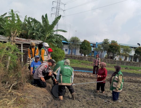 Bhabinkamtibmas Ketegan Kawal Tanam Padi Modern, Dukung Ketahanan Pangan Nasional