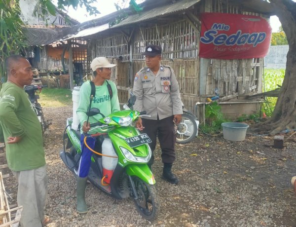 Polsek Prambon Pantau Jagung di Bulang, Pertumbuhan Tanaman Stabil