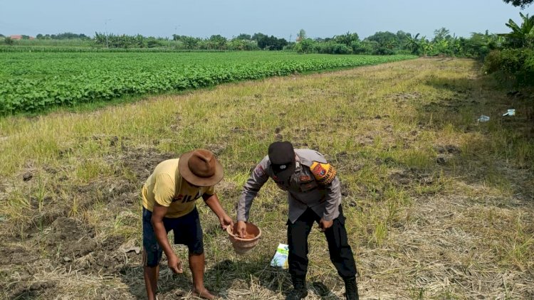 Polisi-bersama-Petani-di-Wonoayu-Tanam-Jagung,-Dukung-Ketahanan-Pangan