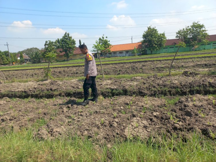Bhabinkamtibmas Wonoayu Ajak Petani Optimalkan Lahan Jagung